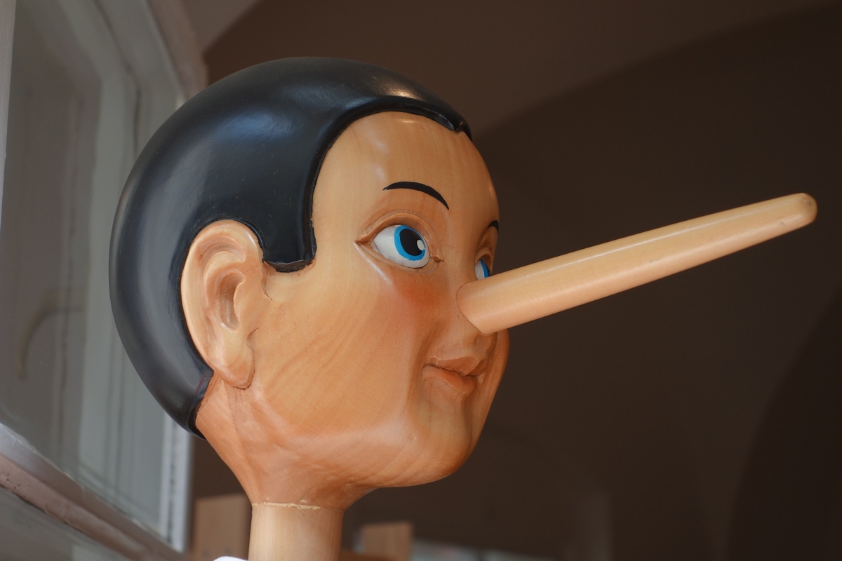 Afbeelding van Schwerdhoever, op pixabay (https://pixabay.com/en/pinocchio-nose-lying-nose-long-lie-2917652/)